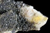 Quartz Cluster with Iron/Manganese Oxide - Diamond Hill, SC #72047-1